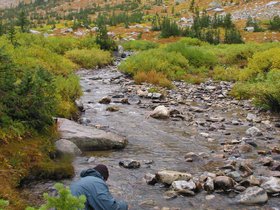 IMG_6310.JPG