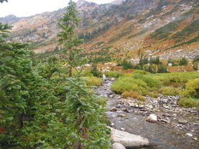 IMG_6334.JPG