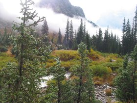 IMG_6335.JPG