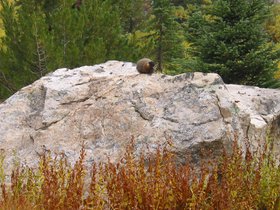 IMG_6337.JPG