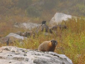 IMG_6342.JPG