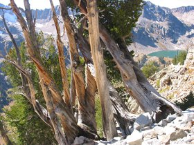 IMG_6370.JPG