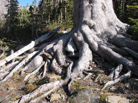IMG_6394.JPG