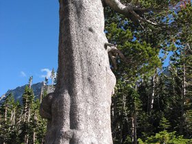 IMG_6396.JPG