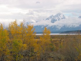 IMG_6433.JPG