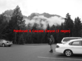 Img_6244_bw.jpg