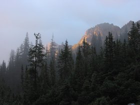 Img_6318.jpg