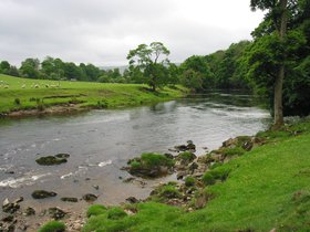 IMG_3871.JPG
