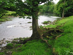 IMG_3872.JPG