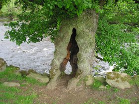 IMG_3873.JPG