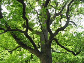 IMG_3897.JPG