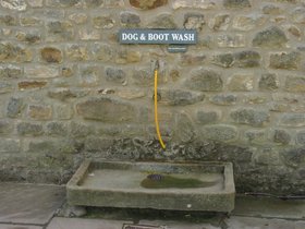 IMG_3898.JPG