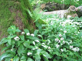 IMG_3899.JPG