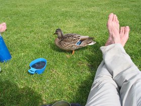 IMG_3926.JPG