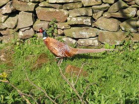 IMG_3939.JPG
