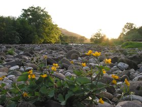 IMG_3943.JPG