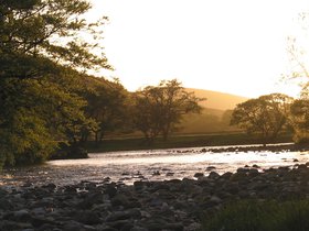 IMG_3945.JPG