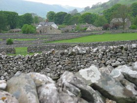 IMG_3975.JPG