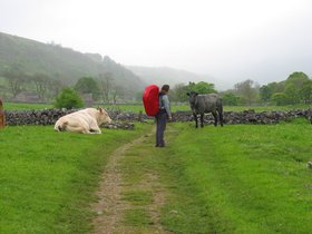 IMG_3994.JPG