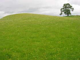 IMG_4144.JPG
