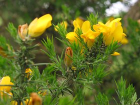 IMG_4158.JPG
