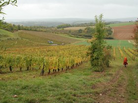 IMG_8102.JPG