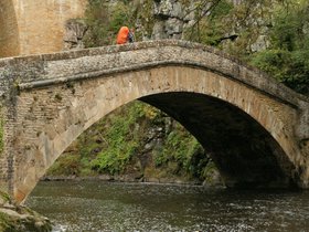IMG_8109.JPG