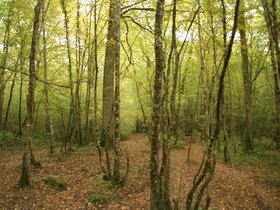 IMG_8112.JPG