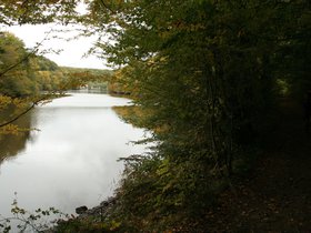 IMG_8117.JPG