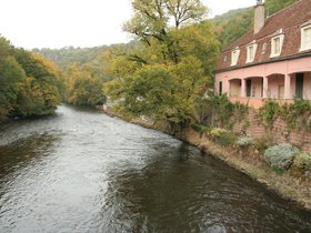 IMG_8124.JPG