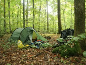 IMG_8144.JPG