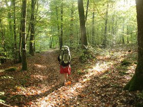 IMG_8148.JPG