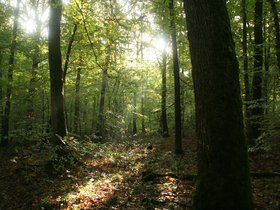 IMG_8149.JPG