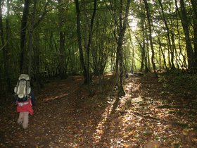 IMG_8153.JPG