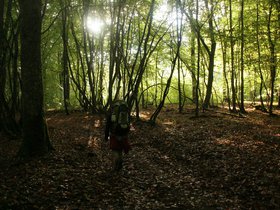 IMG_8154.JPG