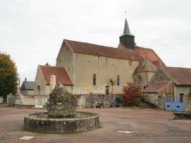 IMG_8172.JPG