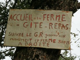 IMG_8184.JPG
