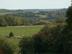 IMG_8198.JPG