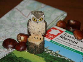 IMG_8215.JPG
