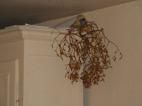 IMG_8216.JPG