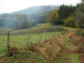IMG_8237.JPG