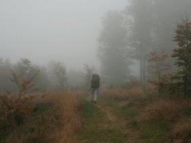 IMG_8275.JPG