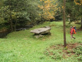 IMG_8289.JPG