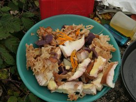 IMG_8314.JPG