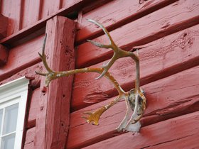 IMG_7109.JPG