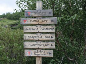 IMG_7111.JPG