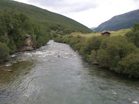IMG_7112.JPG