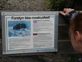 IMG_7113.JPG