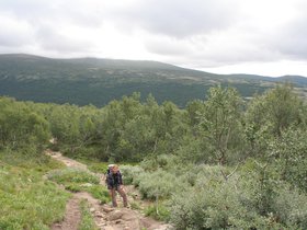IMG_7117.JPG