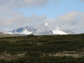 IMG_7126.JPG
